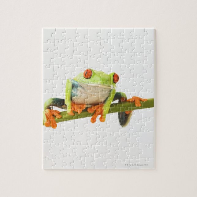 Baumfrosch Puzzle (Vertikal)