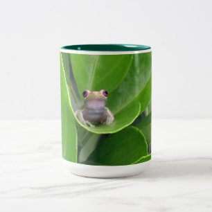 Baumfrosch-Tasse Zweifarbige Tasse