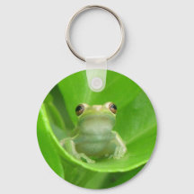 Baumfrösche am Blutorn - Schlüsselkette