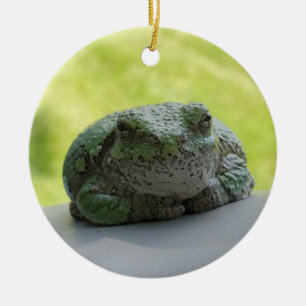 Baumfroschornament Keramik Ornament
