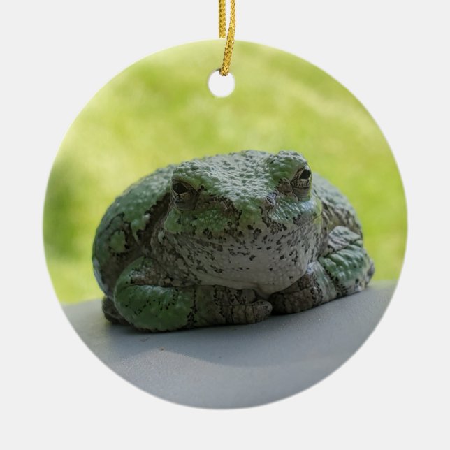 Baumfroschornament Keramik Ornament (Vorne)
