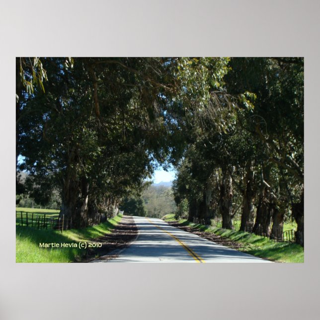 Baumgebundene Landstraße Poster (Vorne)