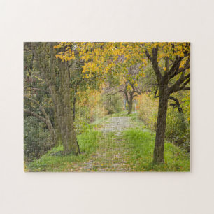 Baumgesäumter Weg im Herbst Puzzle