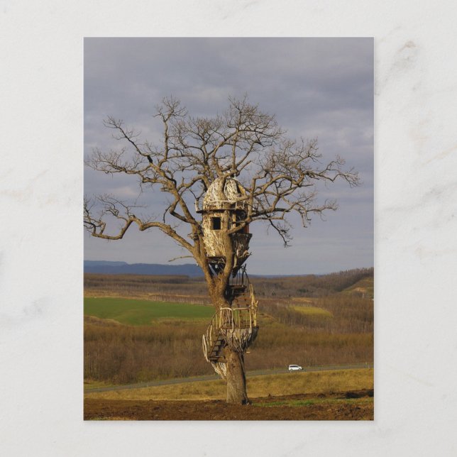 Baumhaus Postkarte (Vorderseite)