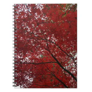 Baumherbstsaison Red Brown Herbstleaves Notizblock