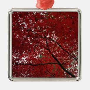 Baumherbstsaison Red Brown Herbstleaves Ornament Aus Metall