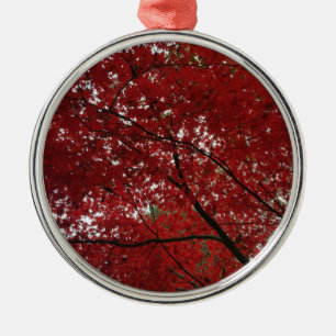Baumherbstsaison Red Brown Herbstleaves Silbernes Ornament
