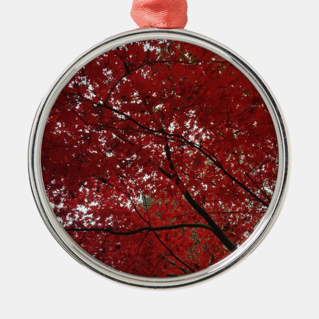 Baumherbstsaison Red Brown Herbstleaves Silbernes Ornament (Vorne)