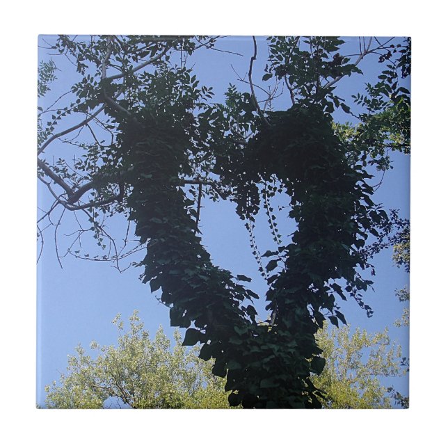 Baumherz Fliese (Vorderseite)