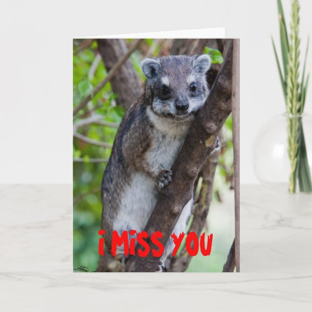 BaumHyrax, DU FEHLST MIR Karte (Vorderseite)
