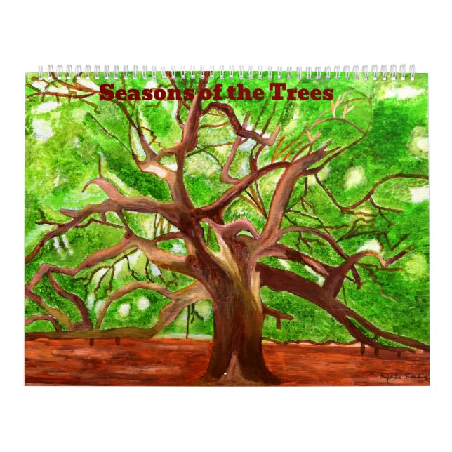 Baumkalender 2025 kalender (Titelbild)