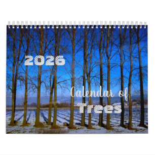 Baumkalender 2025 Schöne Fotos Kalender