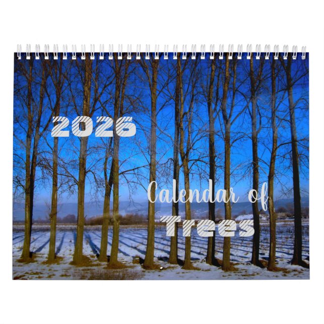 Baumkalender 2025 Schöne Fotos Kalender (Titelbild)