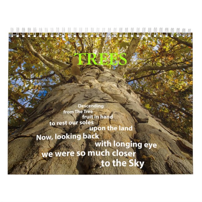 Baumkalender Kalender (Titelbild)