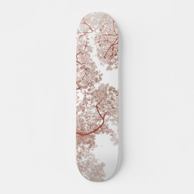 Baumkarte 2 skateboard (Vorne)