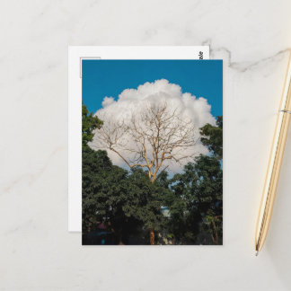 Baumkarte mit Wolken Postkarte