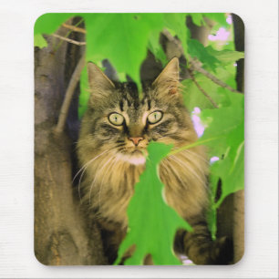 Baumkatze-Mauspad Mousepad