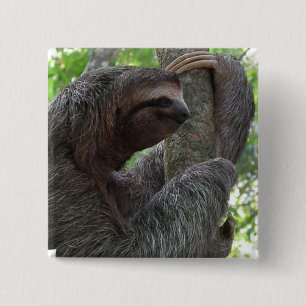 Baumkletterndes Sloth-quadratisches Button