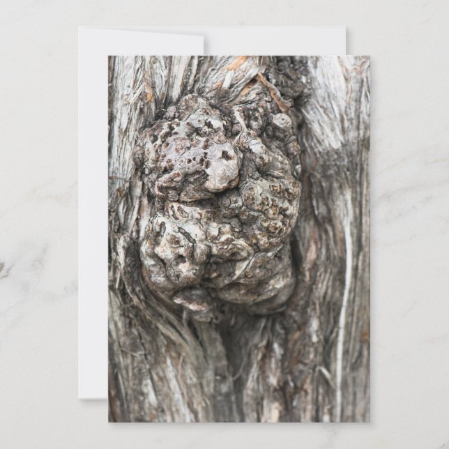 Baumknoten (Vorderseite)