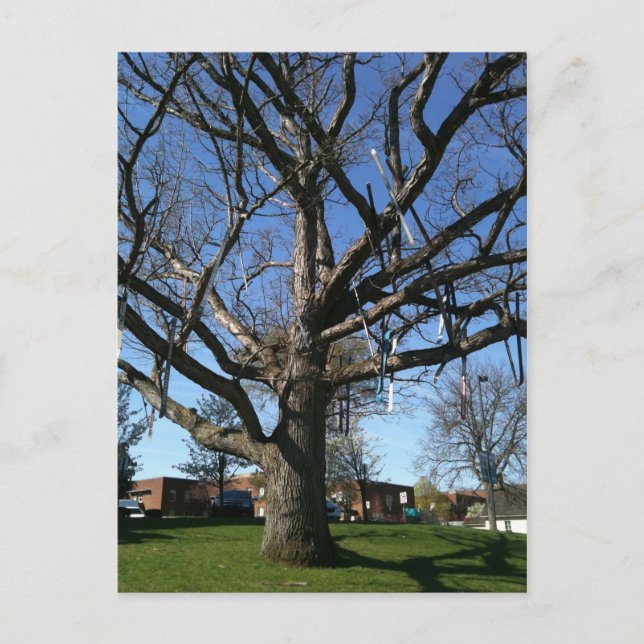 Baumkronen Postkarte (Vorderseite)