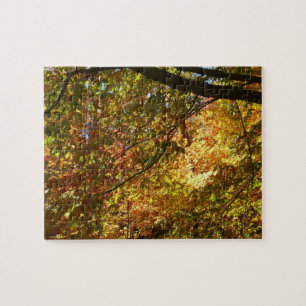 Baumkronen von Herbstlauben I Gelbe Herbstlandscha Puzzle