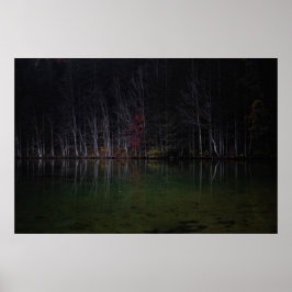 Baumlandschaft am See Poster