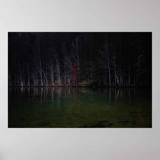 Baumlandschaft am See Poster (Vorne)