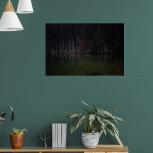 Baumlandschaft am See Poster
