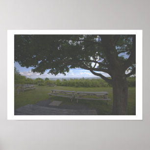 Baumlandschaftsansicht Fotoplakat Poster