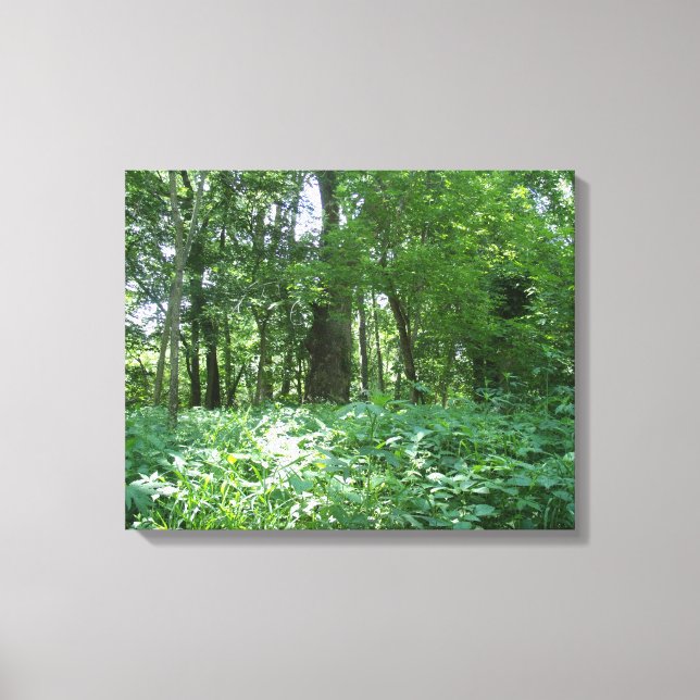 Baumlinie Leinwanddruck (Vorderseite)