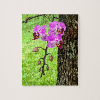 Baumorchidee in Blüte Puzzle