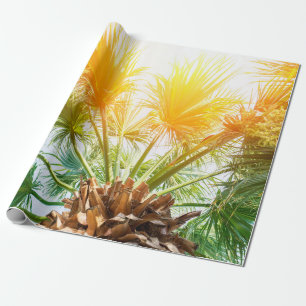 Baumpalme hell sonne sommer hintergrund. tropisch geschenkpapier