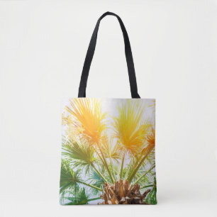 Baumpalme helle Sonne Hintergrund Sommer tropisch