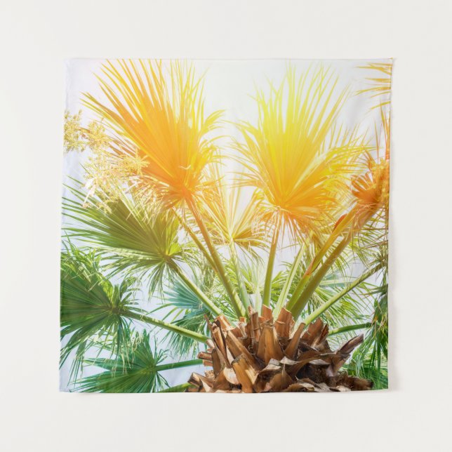 Baumpalme helle Sonne Hintergrund Sommer tropisch  Wandteppich (Vorderseite)