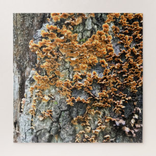 Baumpilz Puzzle