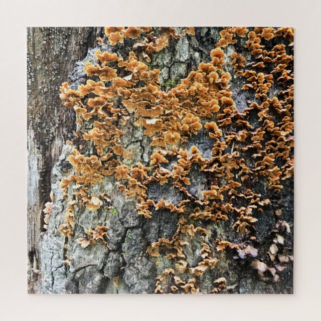 Baumpilz Puzzle (Vertikal)