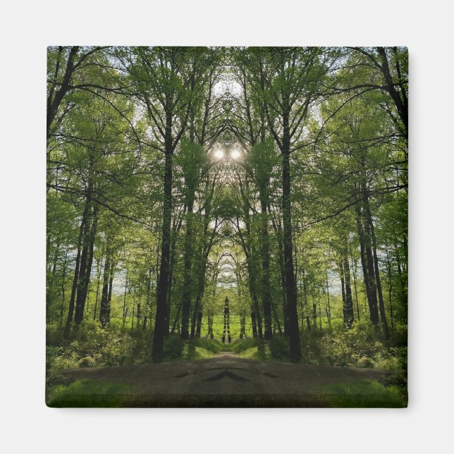 Baumportal-Magnet - Imagination Design #2 Magnet (Vorne)