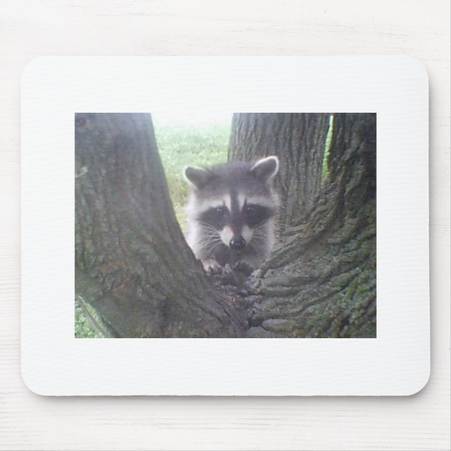 Baumraccoon Mousepad (Vorne)