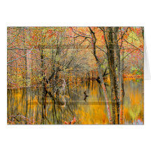 Baumreflektionen/Wasser-WETLANDS-SAMMLUNG - Leere