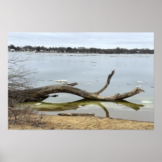 Baumreflexion im Fluss Poster (Vorne)