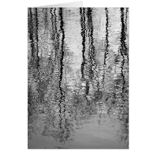 Baumreflexionen (Vorne)