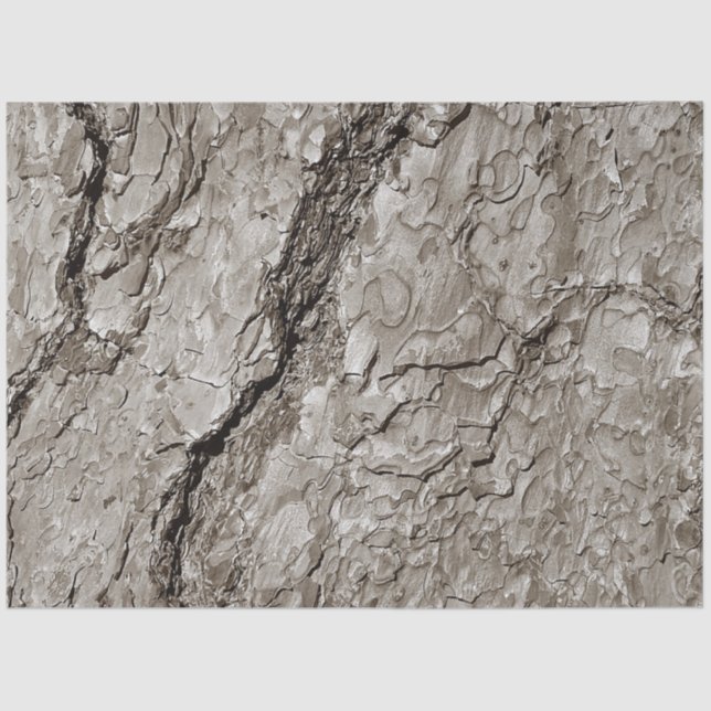 Baumrinde A Seidenpapier (Vorderseite)