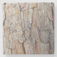 Baumrinde Herbstmuster