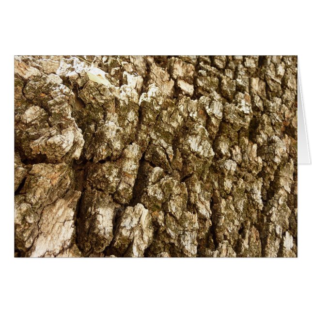 Baumrinde II Natürliche Texturdesign (Vorderseite (Horizontal))