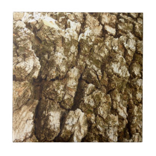 Baumrinde II Natürliche Texturdesign Fliese