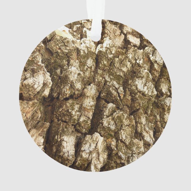 Baumrinde II Naturtexturierte Konstruktion Ornament (Rückseite)