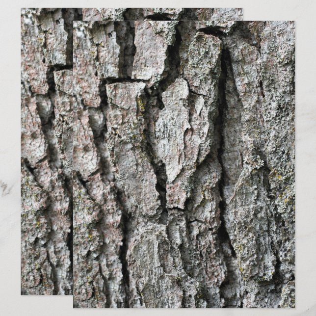 Baumrinde Naturschutzbuch (Vorne/Hinten)