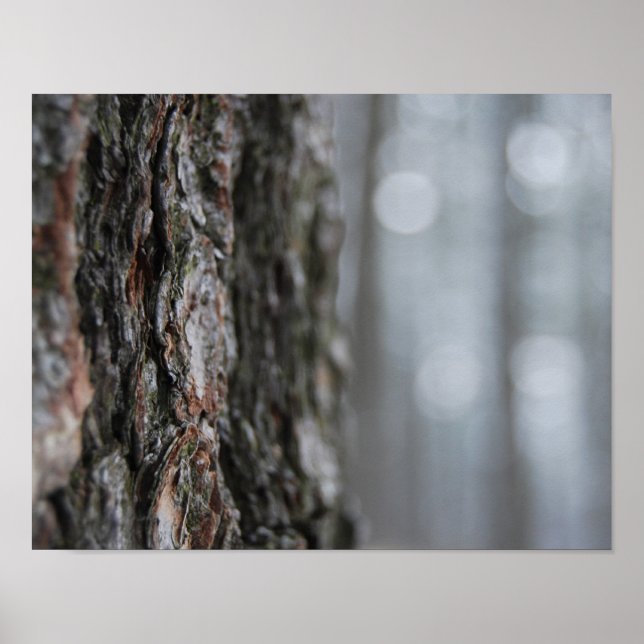 Baumrinde Poster (Vorne)