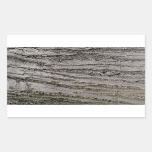Baumrinde Textur Muster Natur Pflanze Rechteckiger Aufkleber