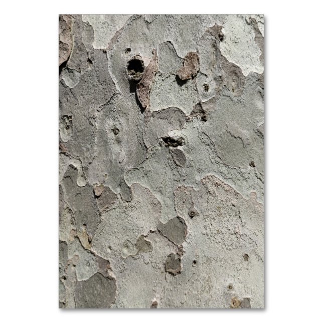 Baumrinde-Tischnummer Tischnummer (Vorderseite)